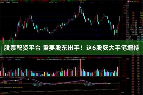 股票配资平台 重要股东出手！这6股获大手笔增持
