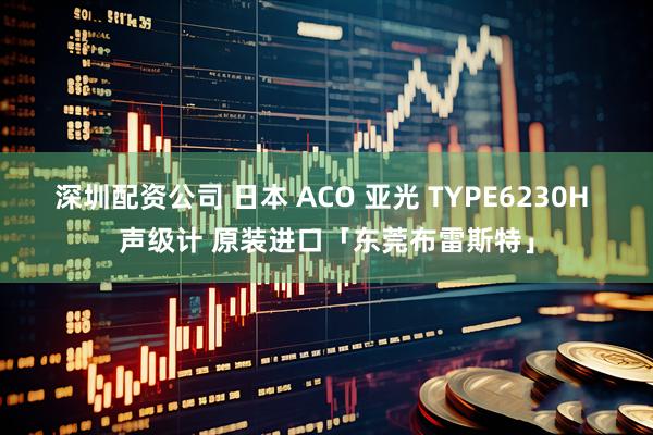深圳配资公司 日本 ACO 亚光 TYPE6230H 声级计 原装进口「东莞布雷斯特」